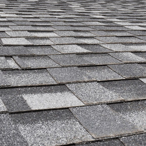 Shingle Service Image