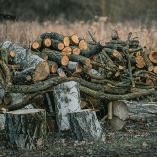 Projeto de remoção de resíduos e demolição - Imagem 11