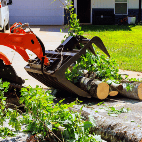 Projeto de remoção de resíduos e demolição - Imagem 13
