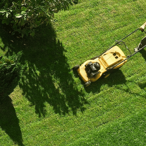 Projeto de remoção de resíduos e demolição - Imagem 14