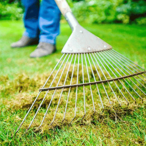 Projeto de remoção de resíduos e demolição - Imagem 15